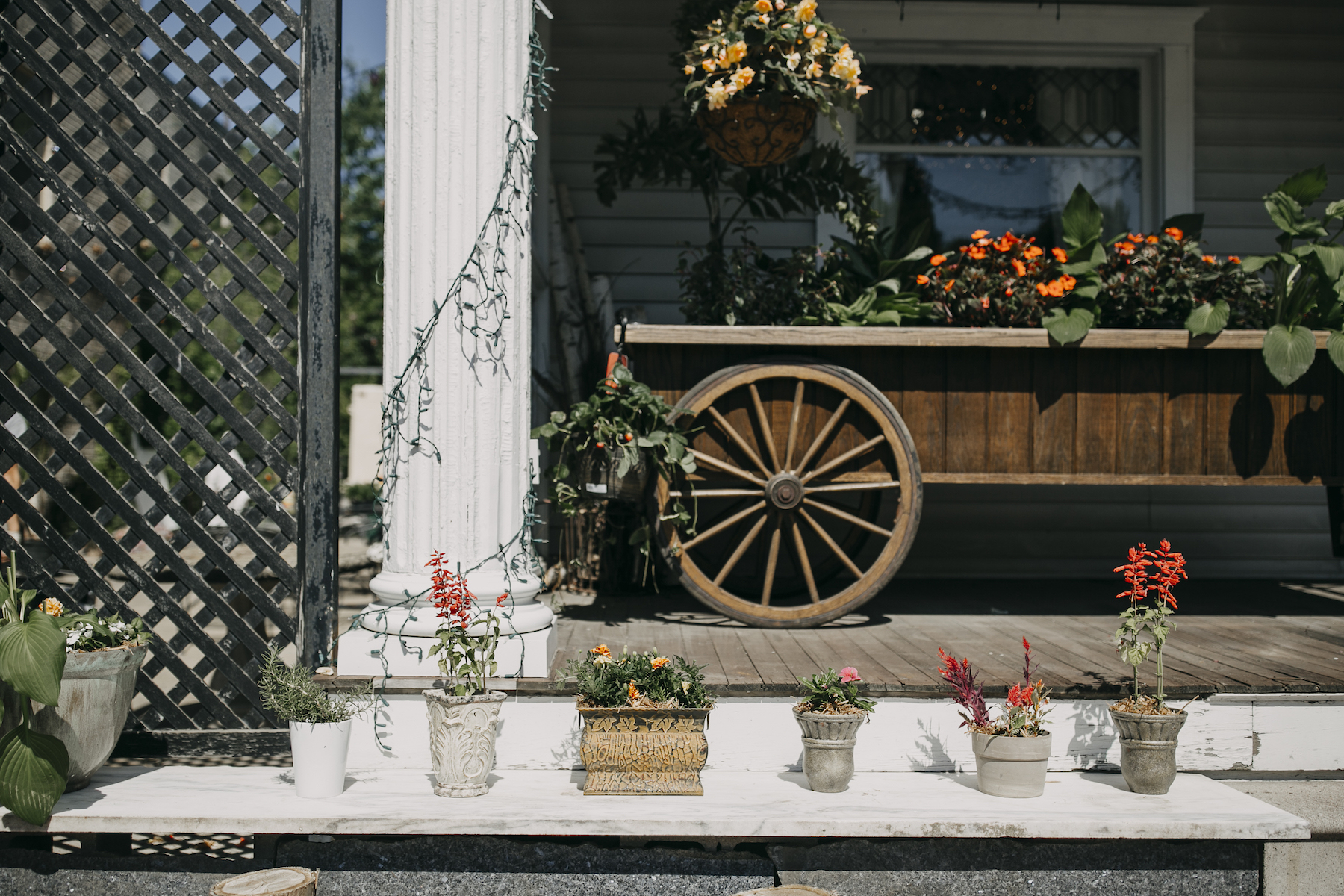 Forever Feature: The Petal Cart