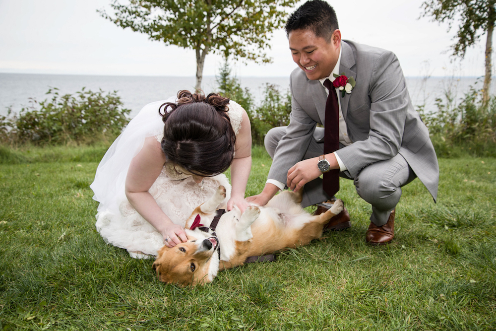 bride and groom with their corgi