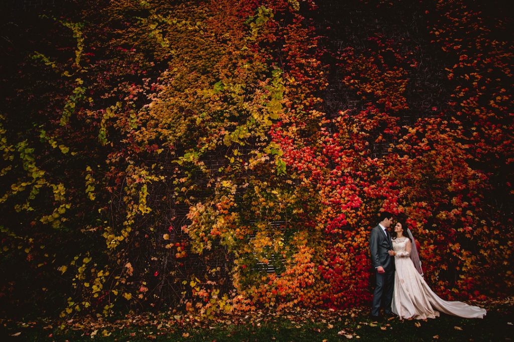 fall leaves for backdrop in wedding shoot