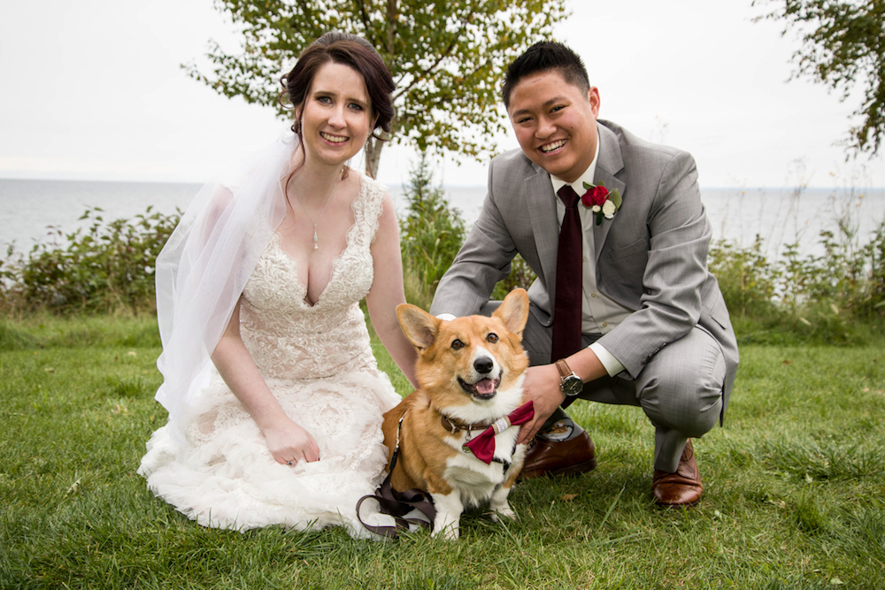 the happiest corgi in a wedding