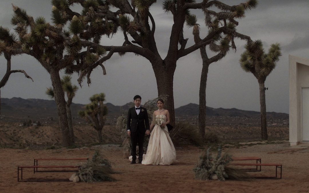 What Makes a Vera Wang Wedding Dress SO Iconic?
